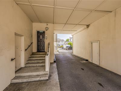 Picture 23